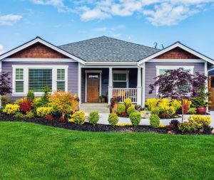 A charming house with a well-maintained garden featuring various colorful plants and shrubs, set against a clear blue sky.
